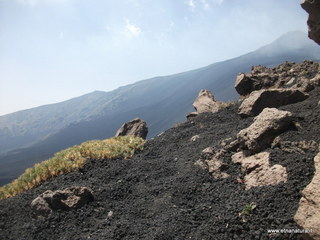 rra delle Concazze-06-08-2014 00-57-45